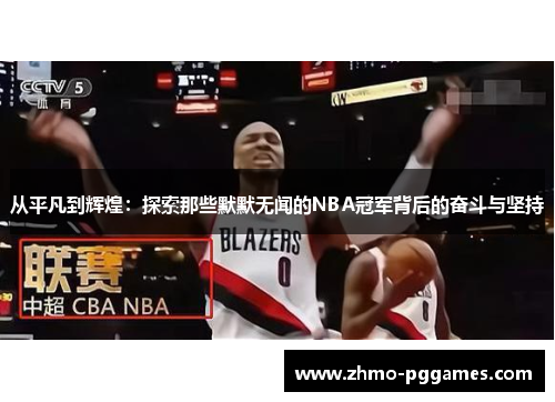 从平凡到辉煌：探索那些默默无闻的NBA冠军背后的奋斗与坚持