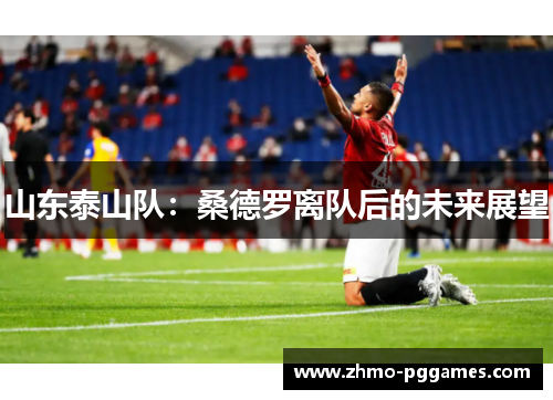 山东泰山队：桑德罗离队后的未来展望