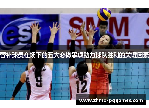 替补球员在场下的五大必做事项助力球队胜利的关键因素