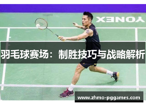 羽毛球赛场:制胜技巧与战略解析 羽毛球赛场:制胜技巧与战略解析