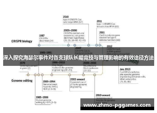 深入探究海瑟尔事件对各支球队长期竞技与管理影响的有效途径方法