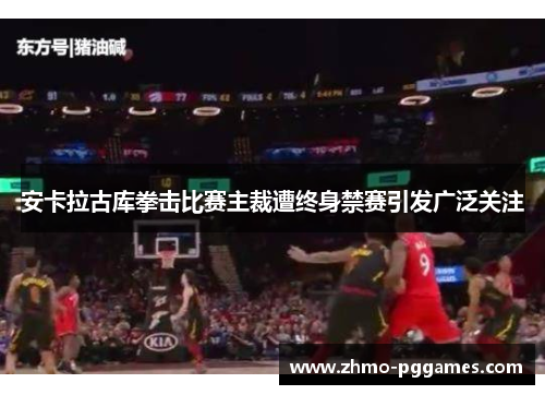 安卡拉古库拳击比赛主裁遭终身禁赛引发广泛关注